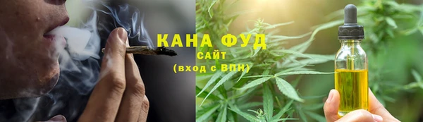 прущие грибы Алзамай