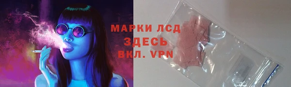 прущие грибы Алзамай