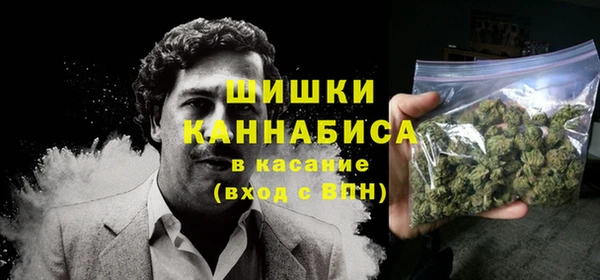 прущие грибы Алзамай